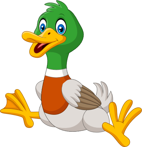 (s337-3-1N) Duck