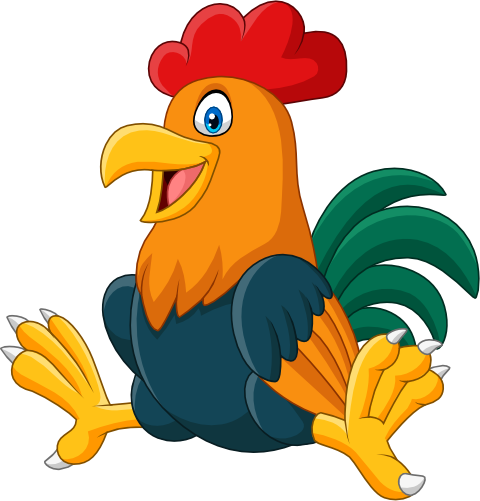 (s337-3-1R) Chicken