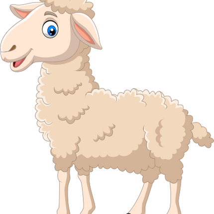 (s337-03-1X) Sheep
