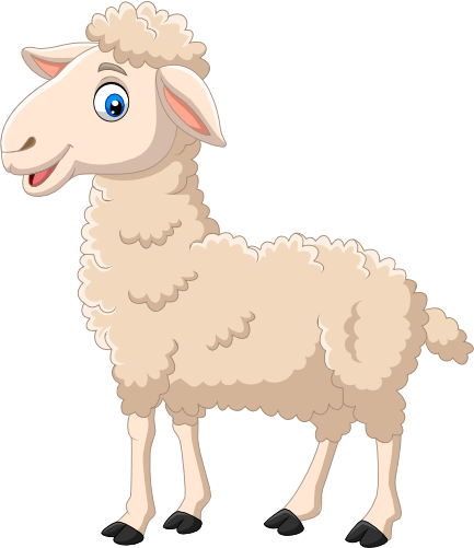 (s337-03-1X) Sheep