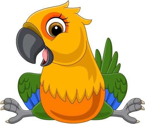 (s337-04-2C) Sun Conure