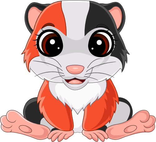 (s337-4-2G) Guinea Pig