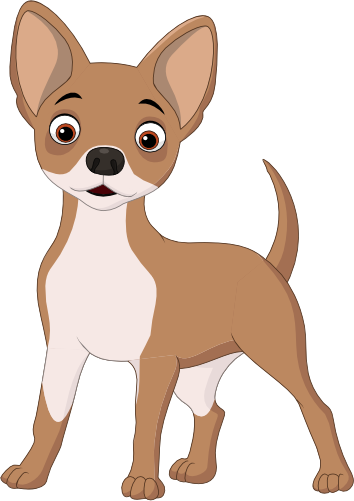 (s337-4-1H) Chihuahua