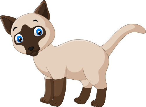 (s337-4-1R) Siamese Cat Kitten