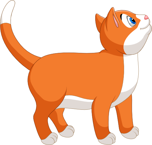 (s337-4-1U) Orange Cat Kitten