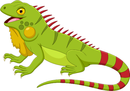 (s337-5-B) Iguana