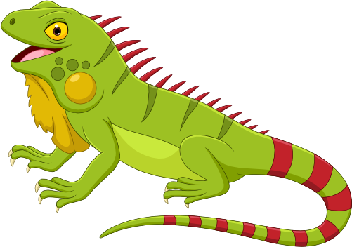 (s337-5-B) Iguana
