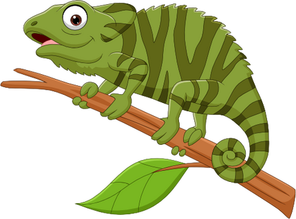 (s337-5-C) Chameleon