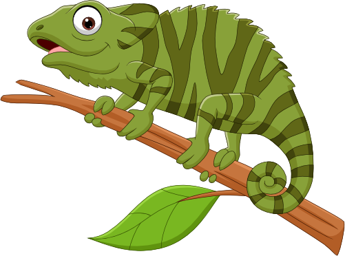 (s337-5-C) Chameleon