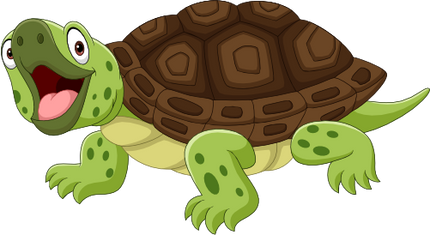 (s337-5-1D) Turtle