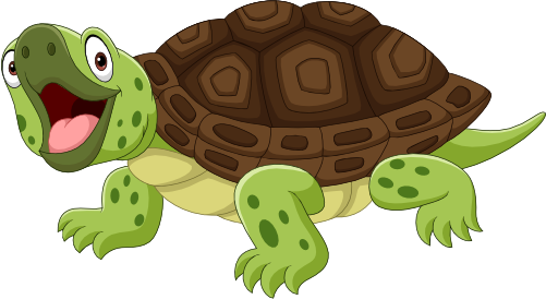 (s337-5-1D) Turtle