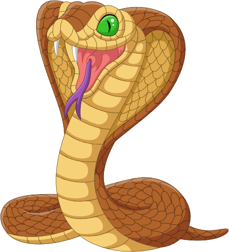 (s337-5-H) Cobra