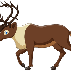 Collection image for: (s337)