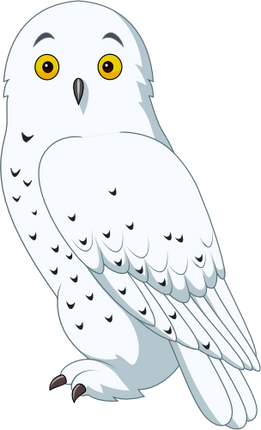 (s337-6-1D) Snowy Owl