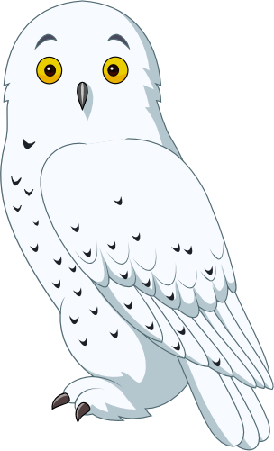 (s337-6-1D) Snowy Owl