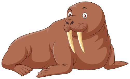(337-06-1F) Walrus