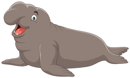 (337-06-1H) Elephant Seal