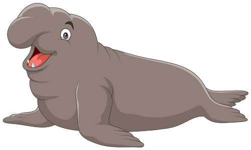 (337-06-1H) Elephant Seal