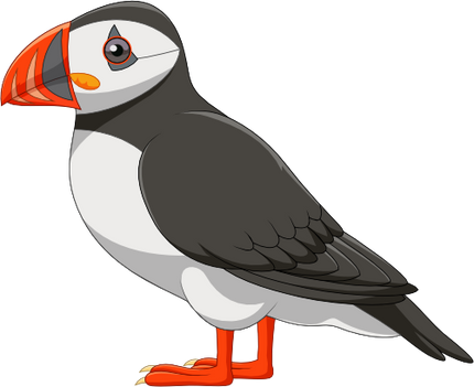 (s337-6-1I) Puffin