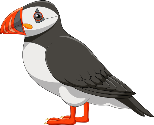 (s337-6-1I) Puffin