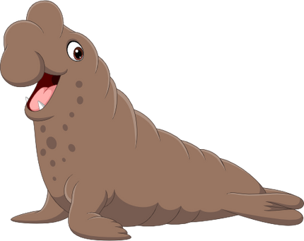 (337-06-1M) Elephant Seal