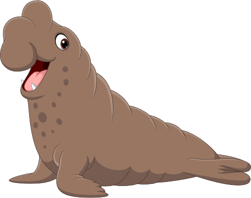 (337-06-1M) Elephant Seal