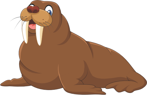 (s337-6-1N) Walrus
