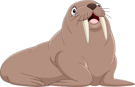 (337-06-1O) Walrus