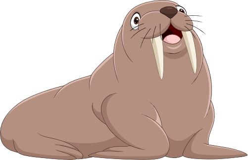 (s337-6-1O) Walrus