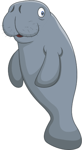 (s337-6-1P) Manatee