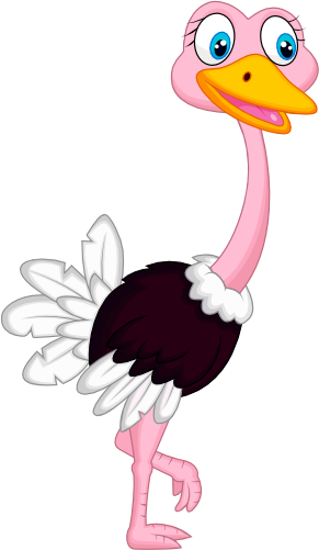 (s337-07-1D) Ostrich