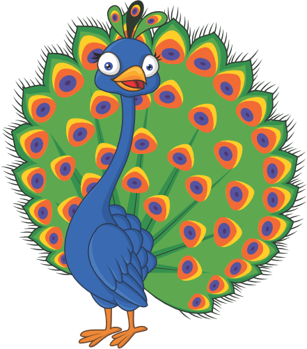 (s337-07-2E) Peacock