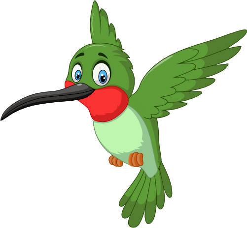 (s337-7-1G) Hummingbird