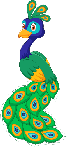 (s337-07-1H) Peacock