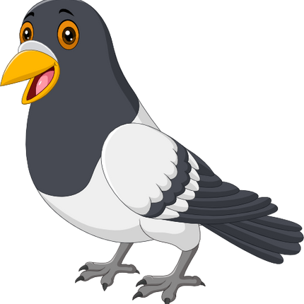 (s337-7-2H) Pidgeon
