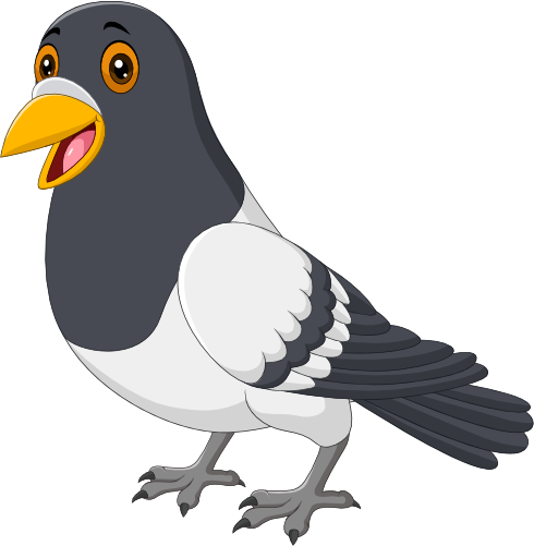(s337-7-2H) Pidgeon