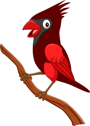 (s337-7-2J) Cardinal