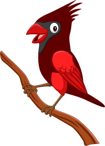 (s337-7-2J) Cardinal