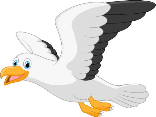 (s337-07-1M) Seagull