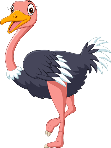 (s337-07-2N) Ostrich