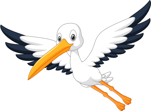 (s337-07-1R) Stork