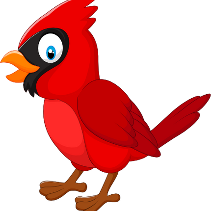 (s337-7-1U) Cardinal