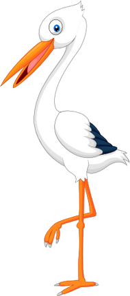 (s337-07-1V) Stork