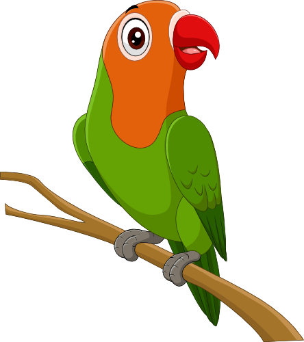 (s337-07-1X) Parrot