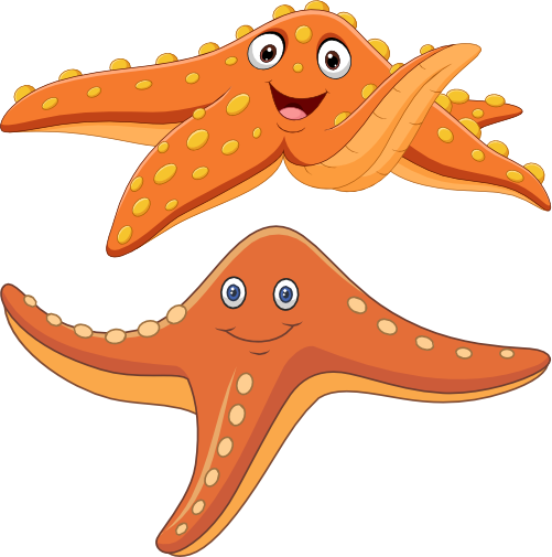 (s337-8-2A) Starifsh