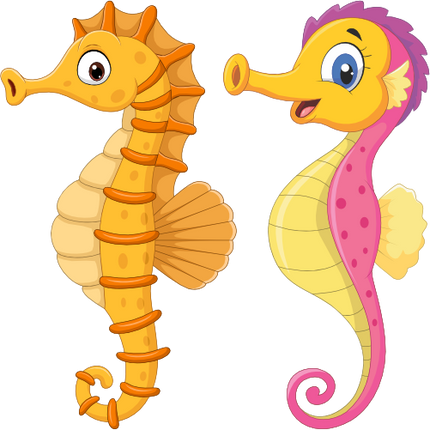 (s337-8-2B) Seahorse