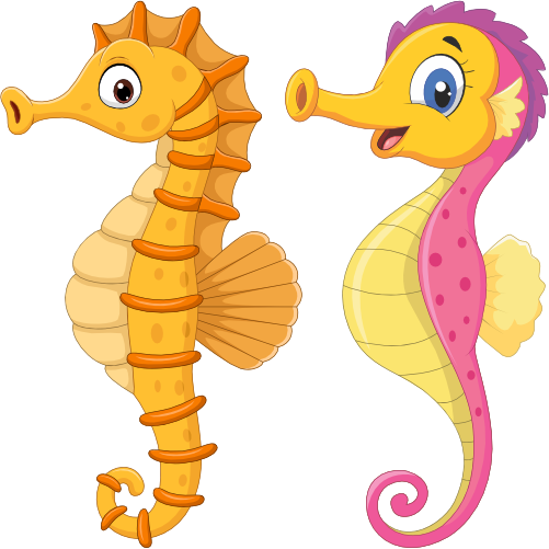 (s337-8-2B) Seahorse