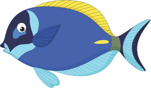 (s337-8-1D) Tropical Fish