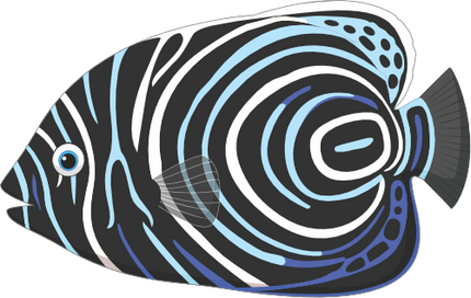 (s337-8-1F) Tropical Fish