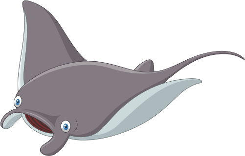 (s337-8-2F) Manta Sting Ray